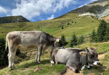 Trail On foot Sarntal - Sarentino - IT-3 - Photo