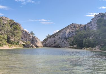 Trail Walking Saint-Rémy-de-Provence - Rando Saint-Remy Baux de Provence - Photo