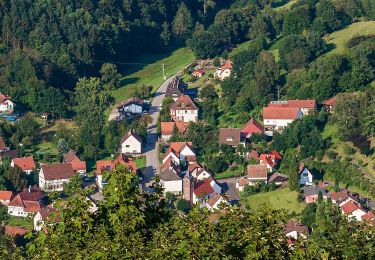 Tour Zu Fuß Schönau (Pfalz) - Salztrippler-Tour - Photo