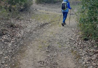 Trail Walking Gardanne - gardanne.francoise.nicoline.jacky.j.f - Photo