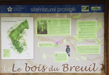Trail Walking Pennedepie - Pennedepie - Photo