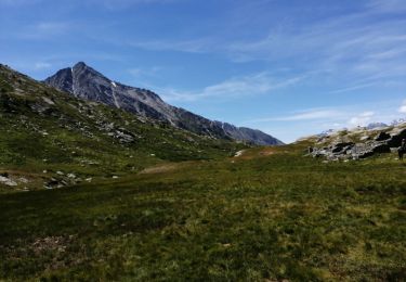 Randonnée Randonnée équestre Val-Cenis - Mont Cenis lac Savine - Photo