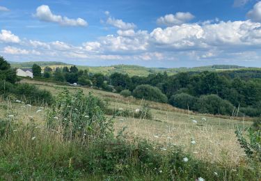 Tour Wandern Alligny-en-Morvan - Jarnoy chemin du tortillard.  - Photo