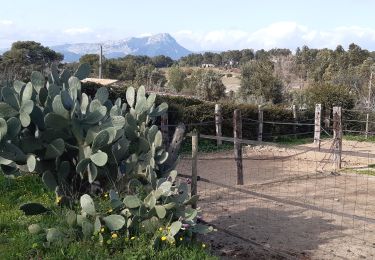 Randonnée Marche Le Pradet - le Pradet, chemin de Bauveze,la Cibone - Photo