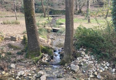 Trail Walking Saint-Zacharie - Saint-Zacharie  - Photo