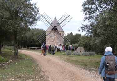 Excursión Senderismo La Capelle-et-Masmolène - Masmolène et l'étang de la Capelle - Photo