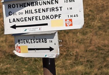 Trail Walking Wasserbourg - 68 - Boelensgrab - Petit Ballon - Photo
