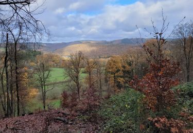 Randonnée Marche Vresse-sur-Semois - rando laforêt 24-11-2022 - Photo