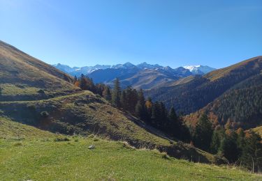 Randonnée Marche Portet-de-Luchon - sommet de Pouy Louby en boucle depuis Portet de Luchon  - Photo