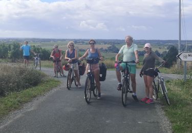 Percorso Bici ibrida Chalonnes-sur-Loire - Chalonnes Behuard - Photo