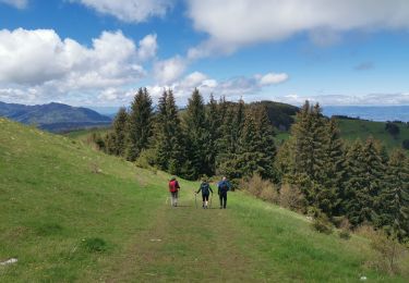 Trail Walking Bernex - Tour du Mont César - Photo