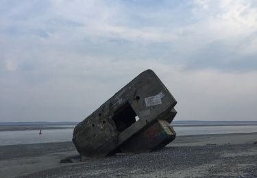 Trail Walking Cayeux-sur-Mer - Baie de somme 10/04/2019 - Photo