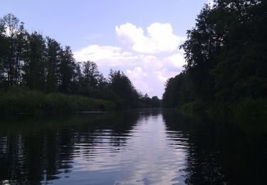 Tour Zu Fuß Lübben (Spreewald) - Rundwanderweg Batzlin - Photo