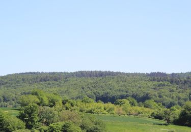 Percorso A piedi Freigericht - Spessartspuren - Somborner Hügelland-Spur - Photo