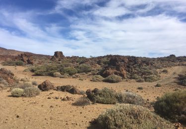 Randonnée Marche La Orotava - Teide - Photo