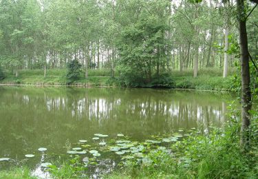 Randonnée A pied Kruibeke - Barbierbeekroute - Photo