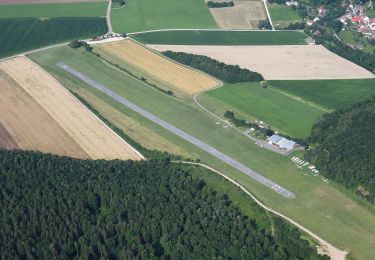 Tour Zu Fuß Weißenburg i. Bay. - Weißenburg Nr. 13 - Photo