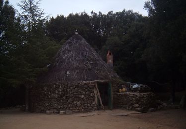 Percorso A piedi Oliena - (SI Z15) Monte Maccione - Sa Sinepida - Photo