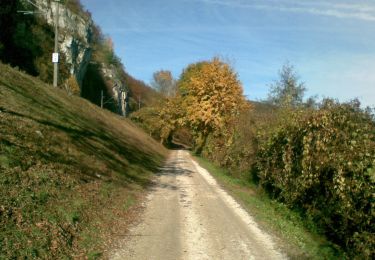 Percorso A piedi Sinzing - W 31 Bruckdorf - Rosengarten (Grünes Rechteck) - Photo