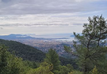 Excursión Senderismo Ollioules - reco Chateauvallon le Croupatier - Photo