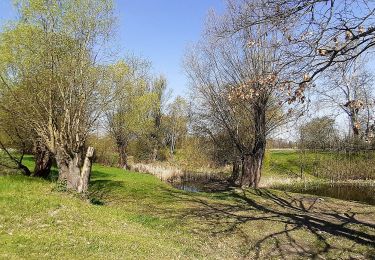 Excursión A pie Olomouc - Naučná stezka Kol-kolem Olomouce - Photo