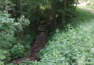Trail Walking Bouillon - Les Hayons 150621 - Photo