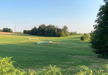 Tour Reiten Fougerolles-Saint-Valbert - Étang des prêtres circuit 2h - Photo