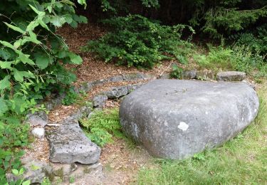 Randonnée Marche Saint-Nabord - Rond cailloux ST Nabord - Photo