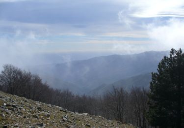 Percorso A piedi Varapodio - Sentiero del Brigante - Tappa 4 - Photo