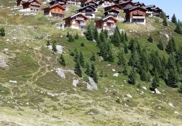 Tour Wandern Naters - De Belalp à Nessel par le bisse de Nessjeri - Photo