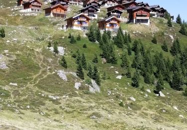 Randonnée Marche Naters - De Belalp à Nessel par le bisse de Nessjeri - Photo