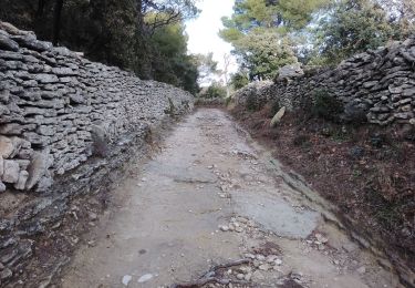 Trail Walking Saumane-de-Vaucluse - saumane 84 la pierre seche - Photo