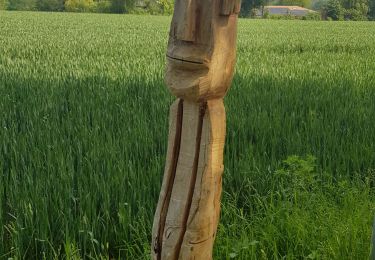 Trail Walking Ottignies-Louvain-la-Neuve - Sentier Sculpteur_0621 - Photo