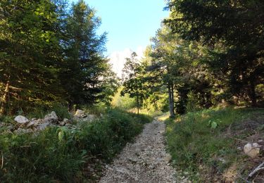 Trail Walking Gresse-en-Vercors - Le Grand-Veymont  - Photo
