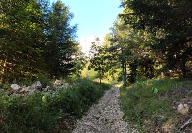 Tour Wandern Gresse-en-Vercors - Le Grand-Veymont  - Photo