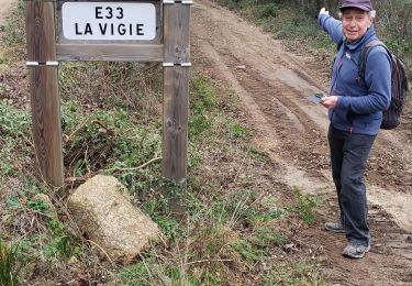 Excursión Senderismo Le Muy - Les jujubiers et le Marri Vallat - Photo