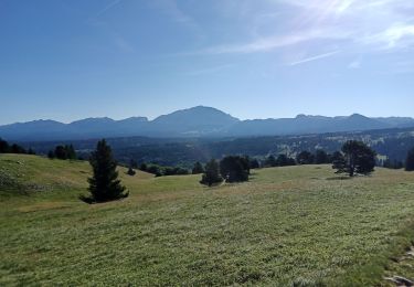 Tour Wandern Gresse-en-Vercors - traversée Sud nord du Grand Veymont - Photo