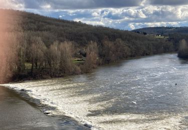 Excursión Senderismo Saint-Géry-Vers - Nouaillac les bois noirs  - Photo