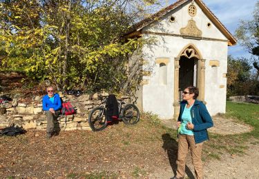 Trail Electric bike Soultz-Haut-Rhin - Florival  - Photo