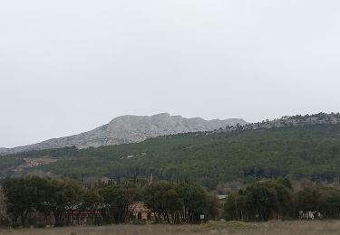 Randonnée Marche Châteauneuf-le-Rouge - Cengle de Negrel - Photo