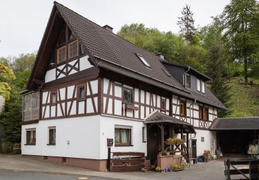 Tocht Te voet Siegbach - Wanderweg E15 / Schlossbergweg - Photo