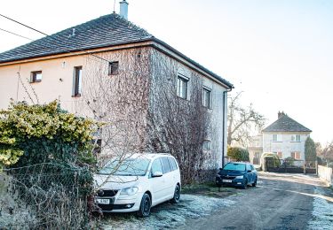 Percorso A piedi Bukovka - NS Pernštejnskými rybníky - Photo