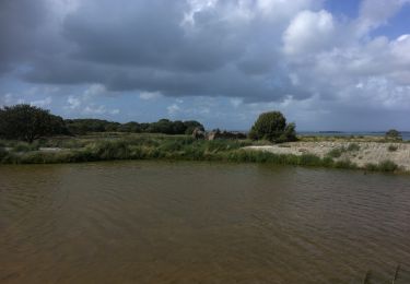 Excursión Senderismo Sarzeau - 2019-08-10 GR34 GOLFE DU MORBIHAN CÔTIER  AUTOUR  DE SARZEAU - Photo