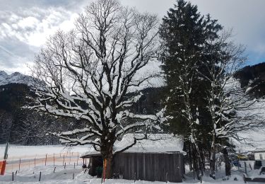 Percorso A piedi Oberstdorf - B - Winterwanderung ins Stillachtal - Photo