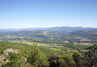 Percorso Marcia Castellet-en-Luberon - Mourre du Grd Lubéron, crêtes et versant Nord  - Photo