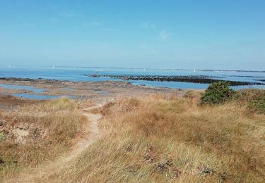 Randonnée Marche Pénestin - la mer à Penestin - Photo