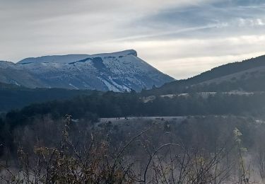 Trail Walking Saint-André-les-Alpes - SAINT ANDRE LES ALPES . COURCHONS O S - Photo