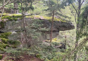 Excursión sport Ribeauvillé - Grande verrerie - Rocher des Géants  - Photo