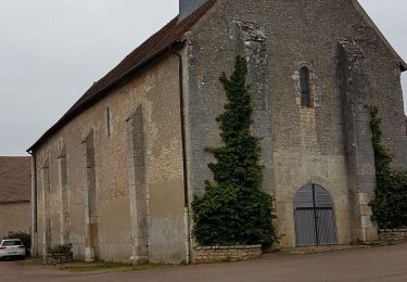 Randonnée Marche Narcy - le chemin des 3 Moulins - Photo