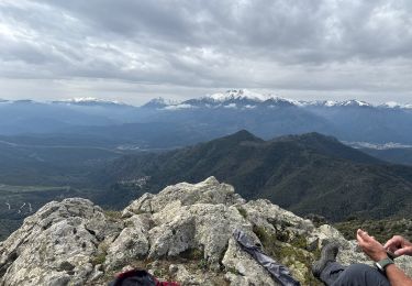Tour Wandern Santa-Lucia-di-Mercurio - Chapelle Saint Alesio  - Photo